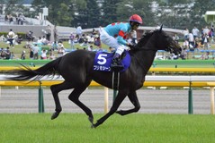 プリモシーンさんプロフィール画像