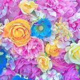 Flower1さんプロフィール画像