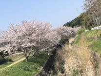 n0712
