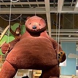 ももまゆぱんだ