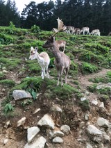 Kiyongさんプロフィール画像
