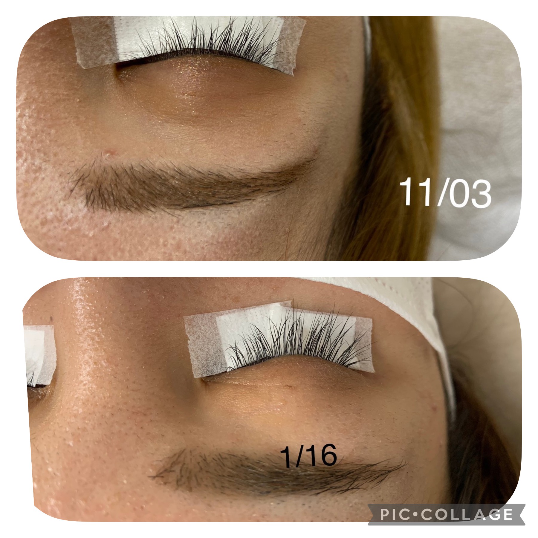 まつげ美容液 HAWRYCH MD LASH - コスメ、スキンケア