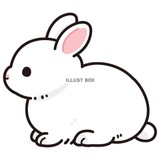 Ailyklさんプロフィール画像