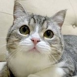 ＊もちまるちゃん＊