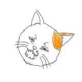 きんぴらわさげさんプロフィール画像