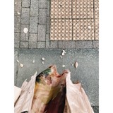 shi_no_ta_さんプロフィール画像