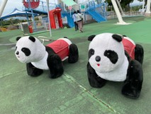 のんよこ♪さんプロフィール画像