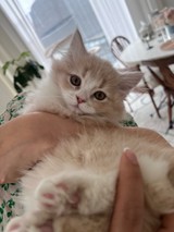 Tito.0_0さんプロフィール画像