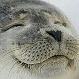 もふもふおばけ