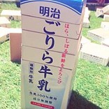ささこ.