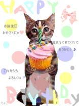 とん★