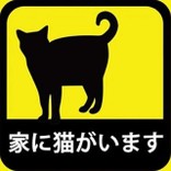 Kinako_cat