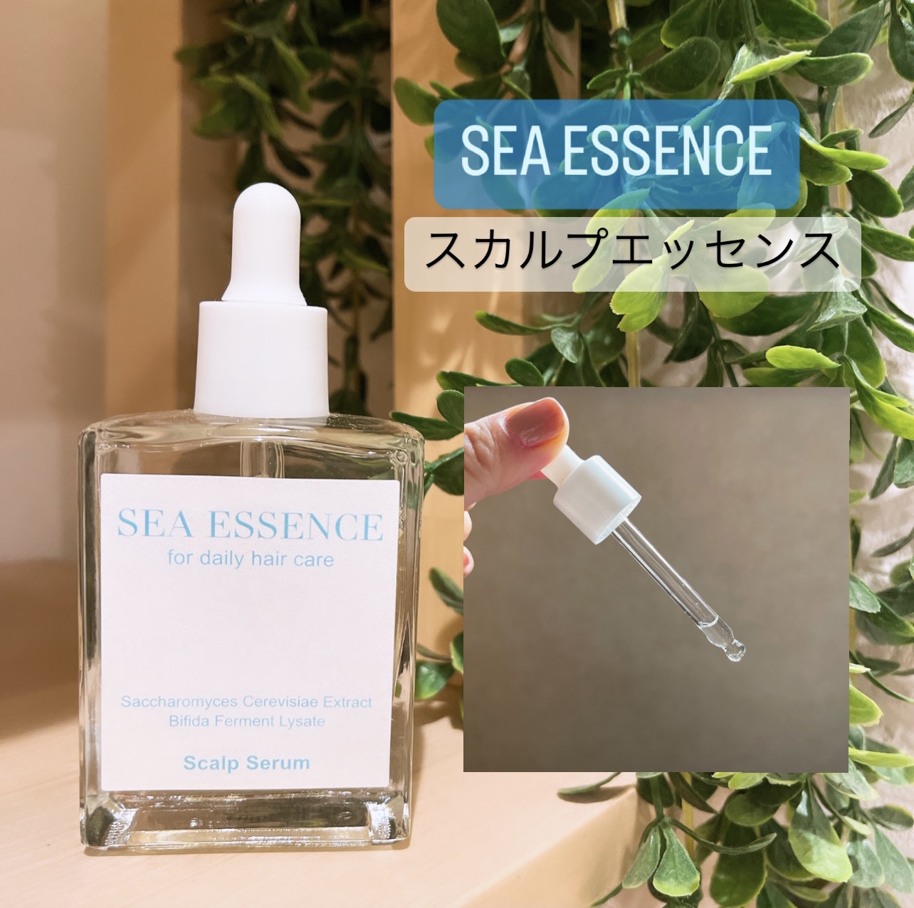 SEA ESSENCE / オレンジラフィーオイルの公式商品情報｜美容・化粧品