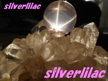 silverlilacさんプロフィール画像