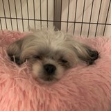 ■□もなみ□■さんプロフィール画像