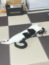 青294さんプロフィール画像