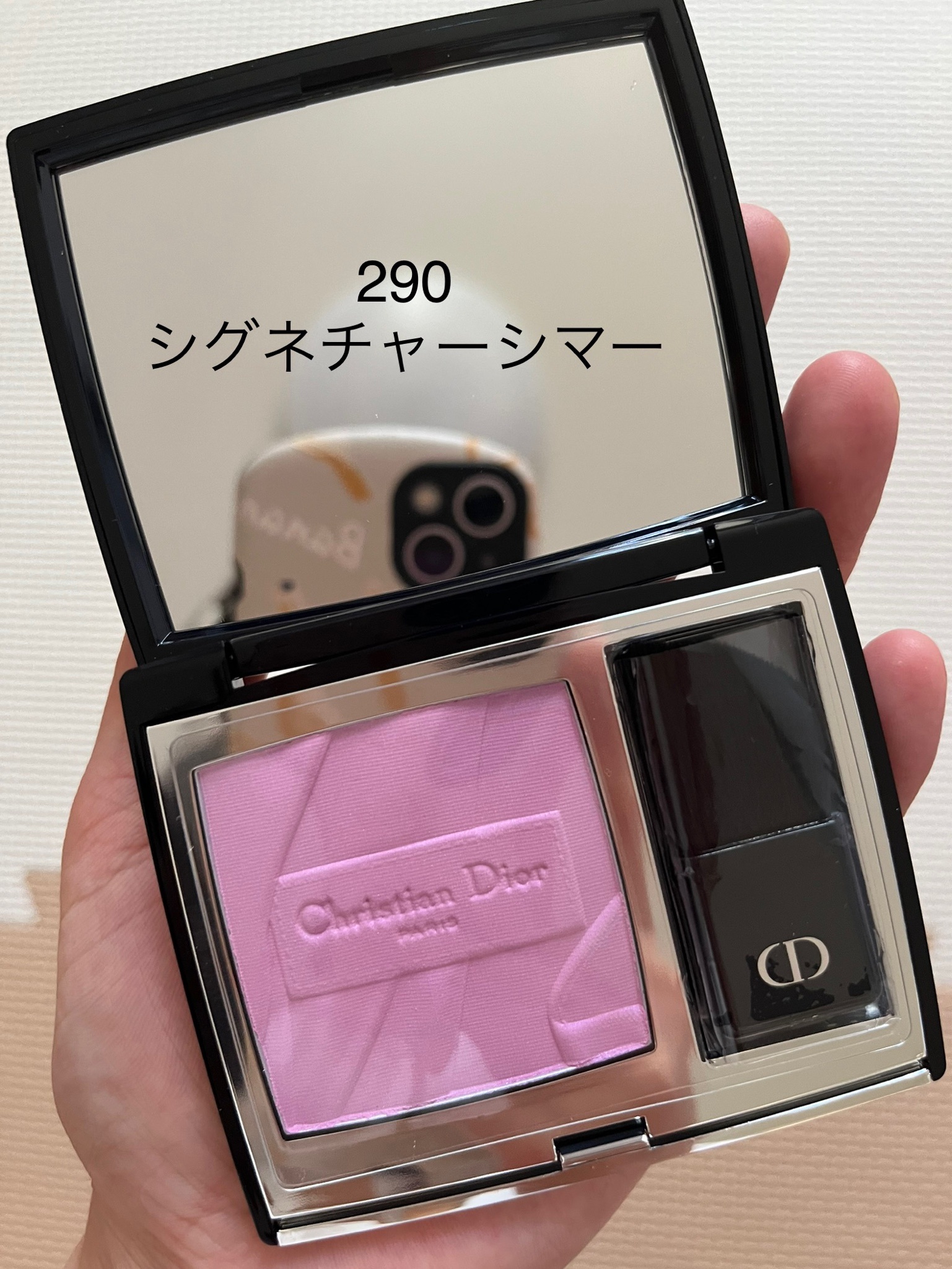 DIOR ブラッシュ 290-