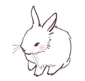 もちうさぎ･☆ﾟ:*:ﾟさんプロフィール画像
