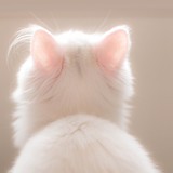 mmmyukさんプロフィール画像