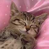 あやきゃーさんプロフィール画像