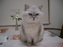 カラカラ帝さんプロフィール画像