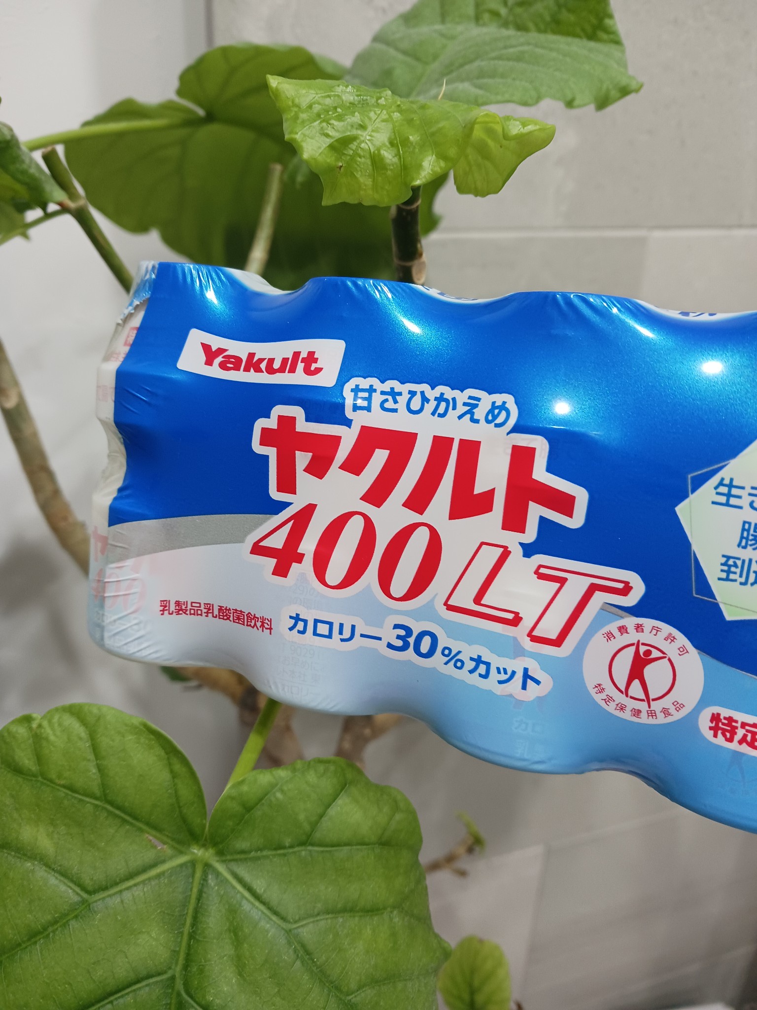 ヤクルト / ヤクルト400Wの公式商品情報|美容・化粧品情報は ヤクルト / ヤクルト400Wの公式商品情報|美容・化粧品情報は