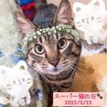 まぁこ13