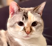 ＊エリカボチャ＊さんプロフィール画像
