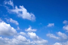 ちんじゃおろうすさんプロフィール画像