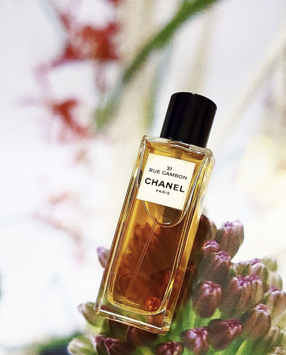 格安好評 CHANEL - CHANEL シャネル N°5 31 リュ カンボンの通販 by