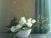 あ・ら・んさんプロフィール画像