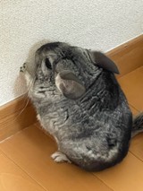 エル0505さんプロフィール画像
