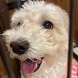 ゆりまろ？さんプロフィール画像