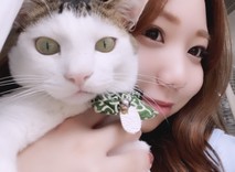 み～ちゃんたらお