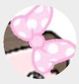 ももいろ子どもさんプロフィール画像