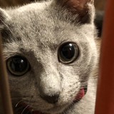 ルイ0708/一彩0104さんプロフィール画像