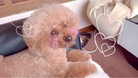 YU★CAさんプロフィール画像