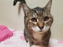 はな♪らん♪さんプロフィール画像