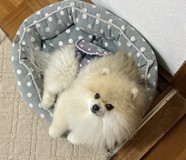 ゆりりん9532さんプロフィール画像