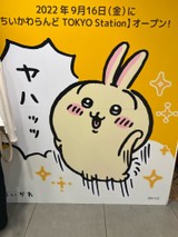 きゃおりーな！さんプロフィール画像