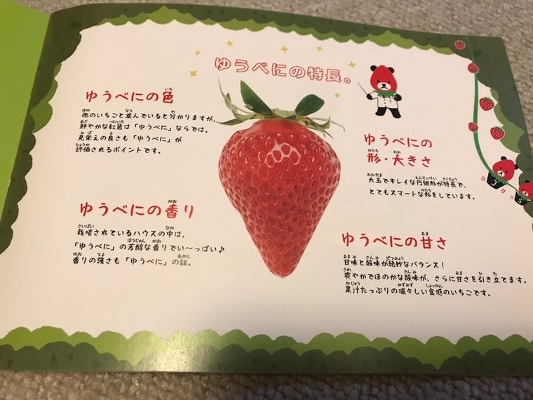 熊本県産いちご ゆうべに コリノ キラキラさんのブログ Cosme アットコスメ 熊本県産いちご ゆうべに コリノ キラキラさんのブログ Cosme アットコスメ