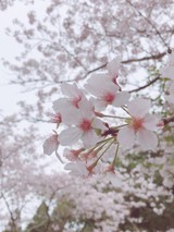 白井、さんプロフィール画像