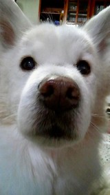 ＊ぱんだこぱんだ＊さんプロフィール画像