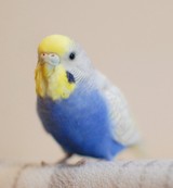ゆうじっくさんプロフィール画像