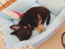 miy621さんプロフィール画像
