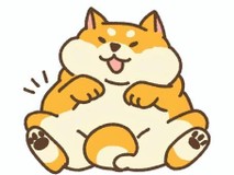 むっち1060さんプロフィール画像