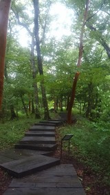 みふれあみさんプロフィール画像