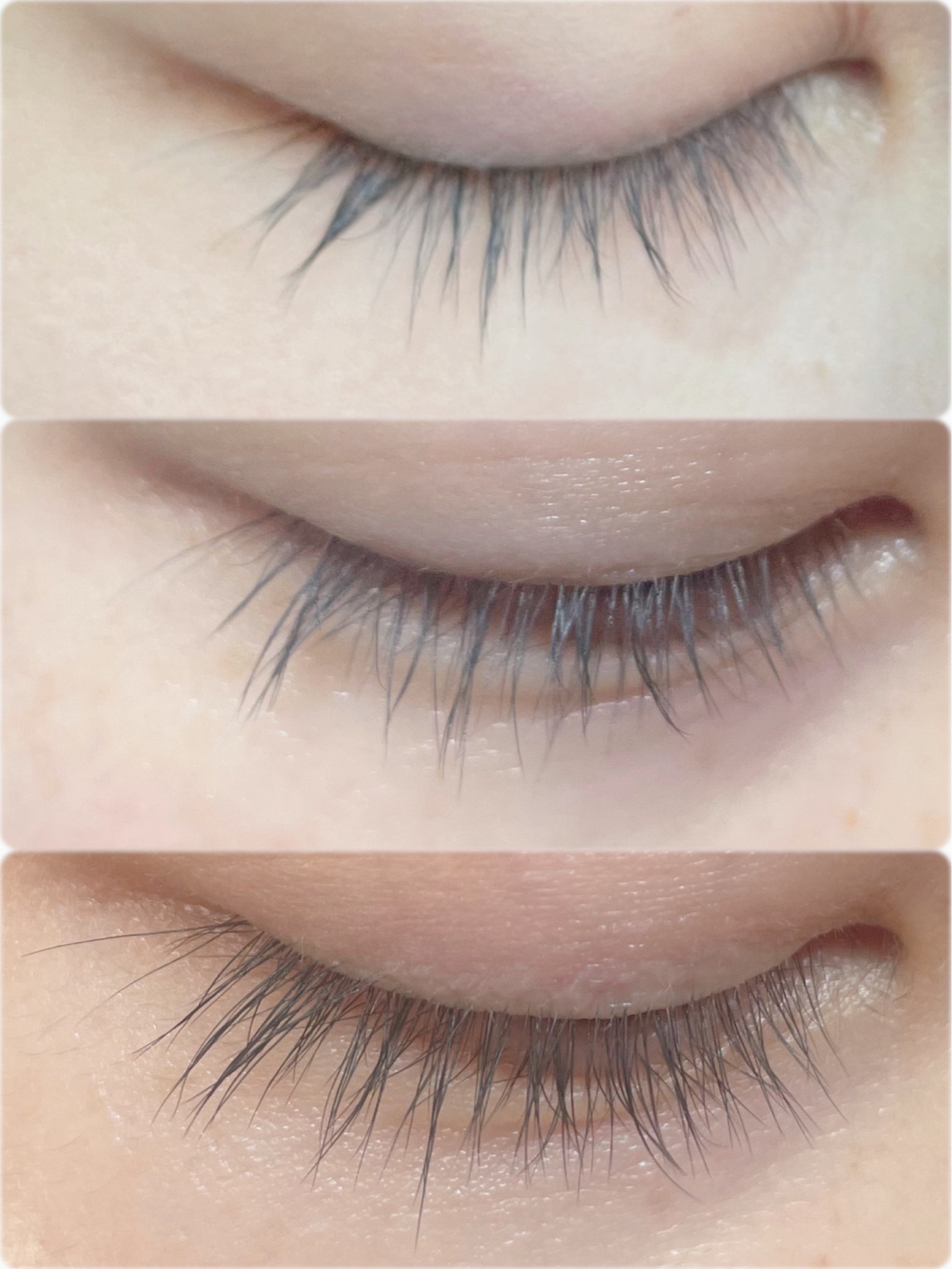 FABIUS / BONNY LASHES(ボニーラッシュ)の公式商品情報｜美容