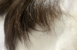 オススメのトリートメントなど