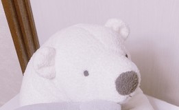 しろくまのおやつさんプロフィール画像